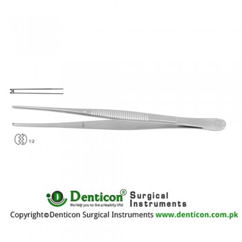 Taylor Dissecting Forceps 1 x 2 Teeth Stainless Steel, 17.5 cm - 7"